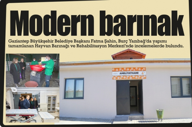 Modern barınak