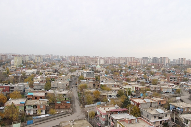 Kilis Nobel'e aday