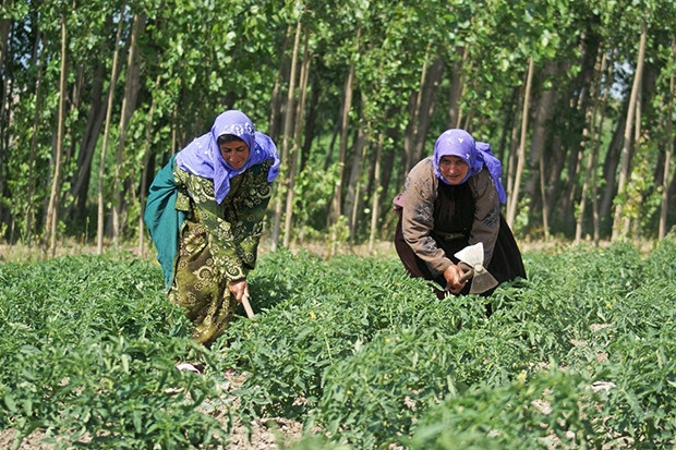 Mevsimlik işçilerin ücreti arttı