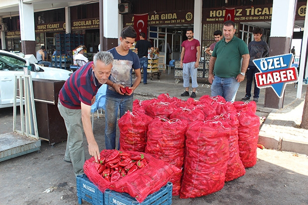 Salçalık biberin kilosu 80 kuruş