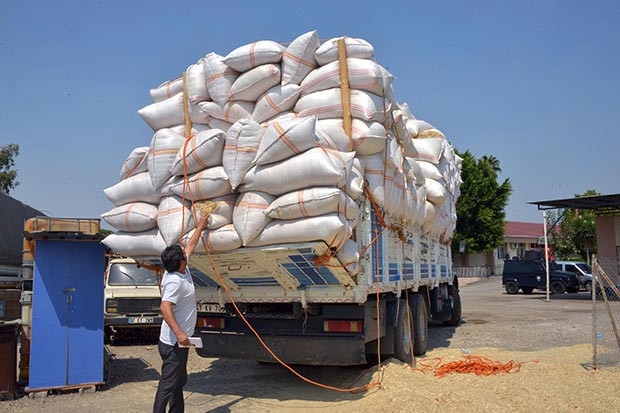 Saman yüklü kamyonda 389 kilo esrar ele geçti