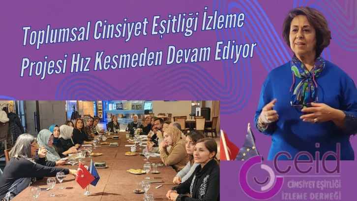 Gaziantep Toplumsal Cinsiyet Eşitliği İzleme Projesi Hız Kesmeden Devam Ediyor