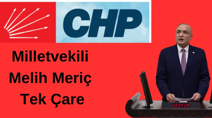 Milletvekili Meriç Tek Çare