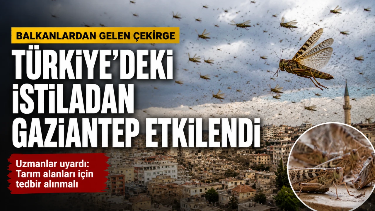 T&uuml;rkiyedeki istiladan Gaziantep etkilendi
