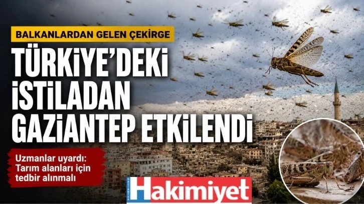 Türkiyedeki istiladan Gaziantep etkilendi