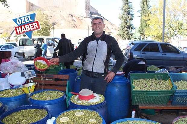 Gaziantep’te Zeytin Satışları Başladı