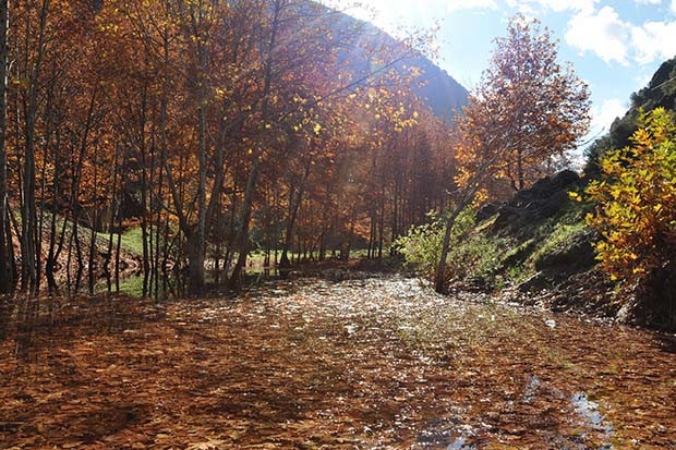 İdilli Vadisi'nde sonbahar güzelliği