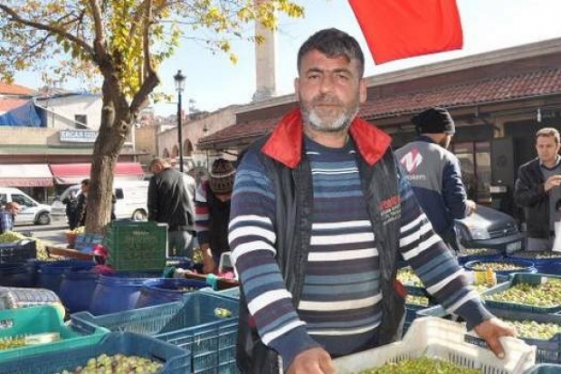 Kuraklık zeytini vurdu