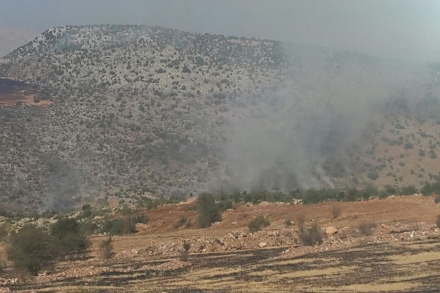 Gaziantep'te orman yangını