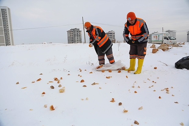 Şehitkamil Belediyesi, doğadaki hayvanları unutmadı