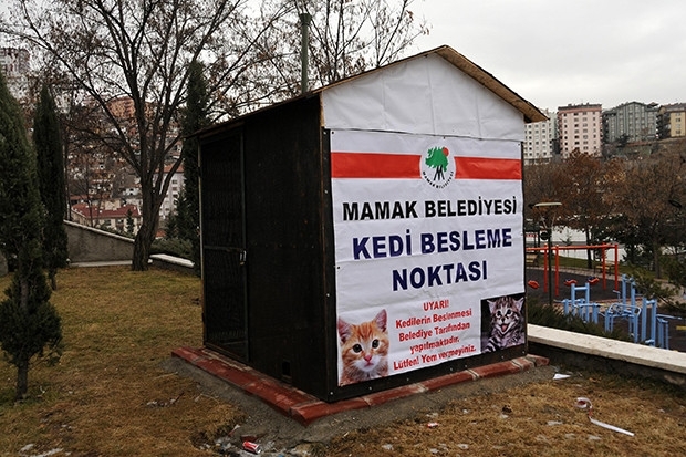 Mamak’ta sokak kedileri için örnek uygulama