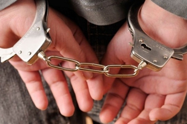 Van’da DEAŞ operasyonunda 10 tutuklama