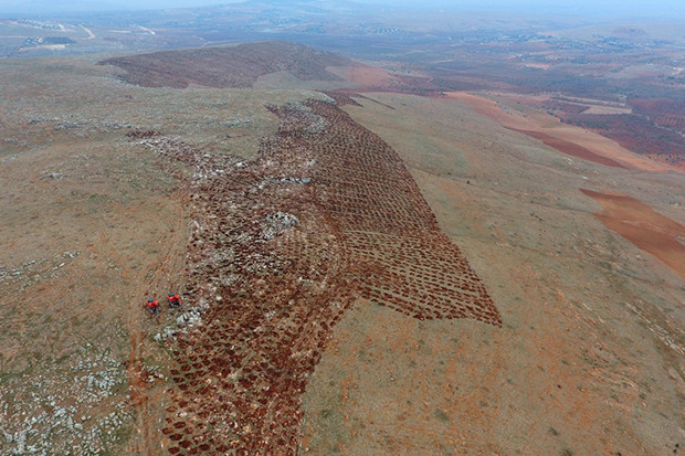 Gaziantep'te 1 milyon metre kare alan ağaçlandırılıyor
