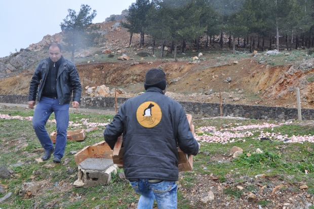 Aracın çarptığı yaralı köpek, hayvan ambulansı ile hastaneye kaldırıldı