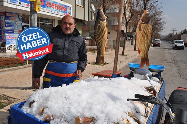 Tatlı su balığına ilgi büyük