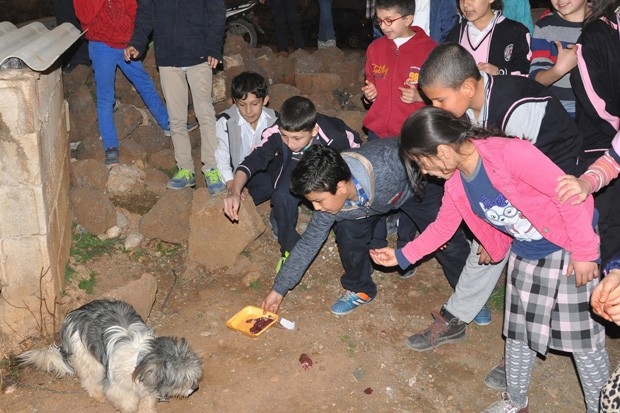 Biriktirdikleri parayla sokak hayvanlarını beslediler