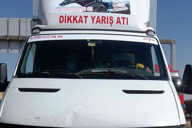 Yarış atı taşıyan araçtan uyuşturucu çıktı