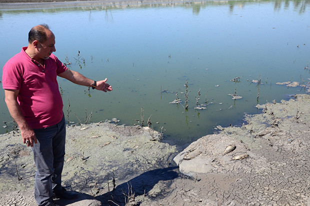 Gaziantep'te korkutan balık ölümleri
