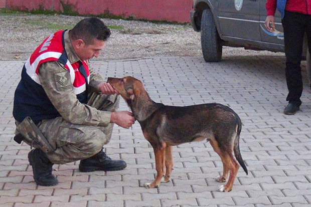 Duygulandıran kavuşma