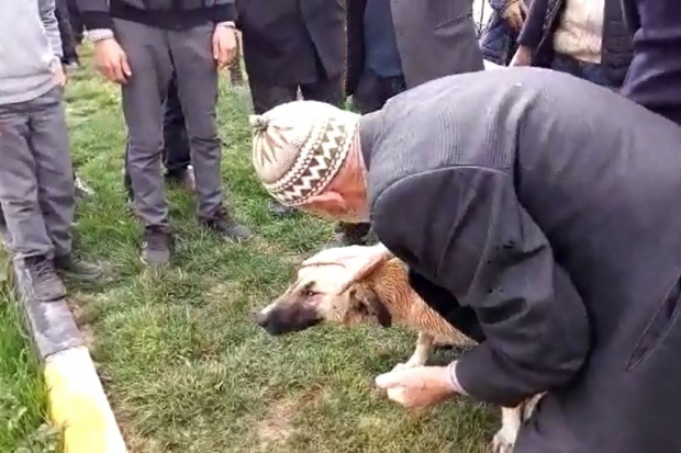 Köpeğini kurtarmak için kıyafetleriyle suya atladı