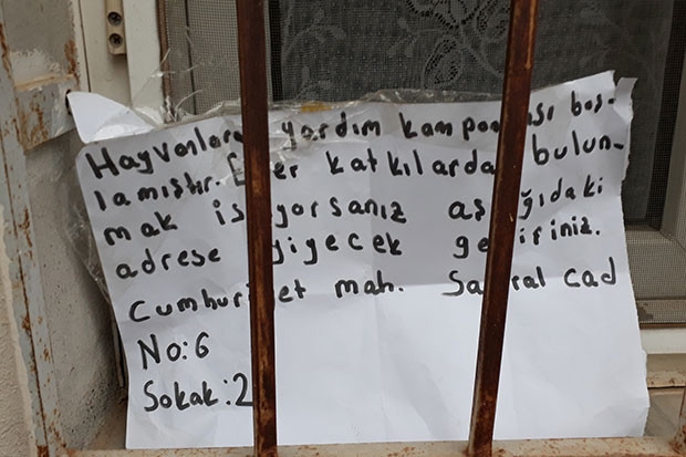 Sokak hayvanları için broşür