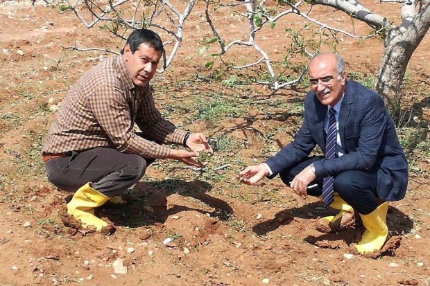 Dolu ve sağanak yağış hayatı felç etti