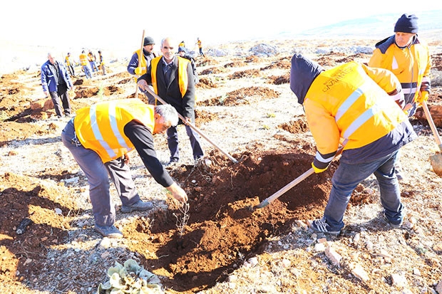 3 milyon metrekarelik alana orman kuruldu