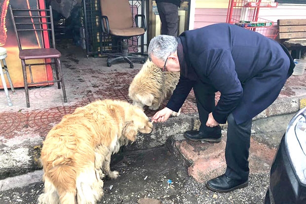 Sokak hayvanlarını unutmayalım