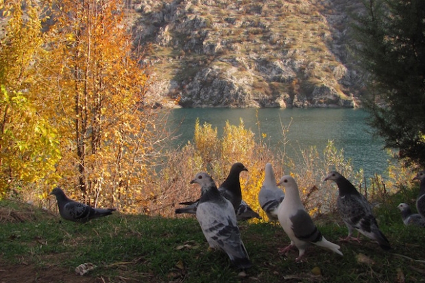 Fırat Nehri’nde kartpostallık manzaralar