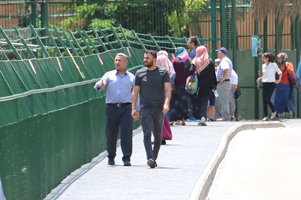 Aslanlara yoğun ilgi