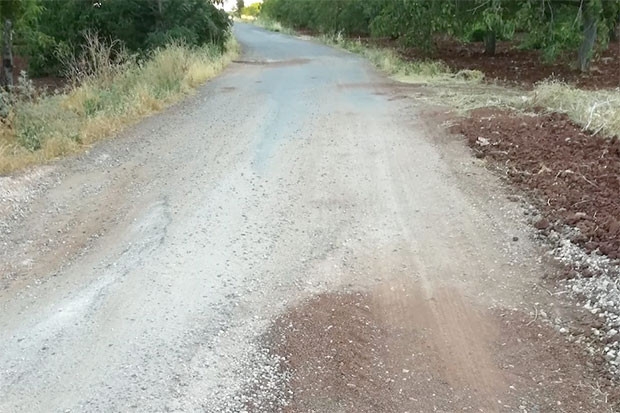 Büyükşehir’den Cevizli halkının isteği var