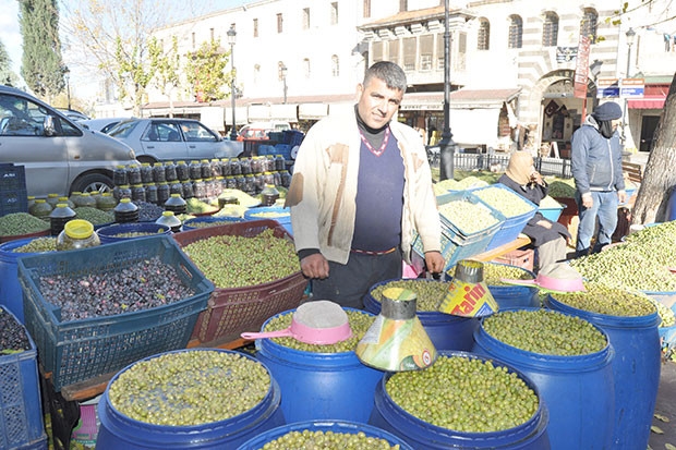 Yeşil zeytin tezgaha indi