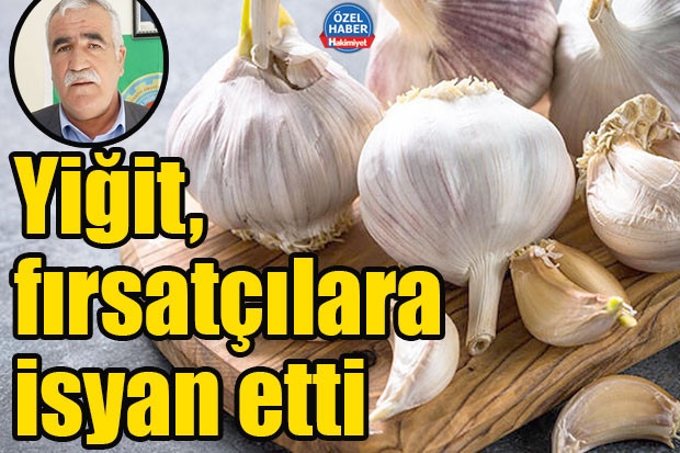 Yiğit, fırsatçılara isyan etti