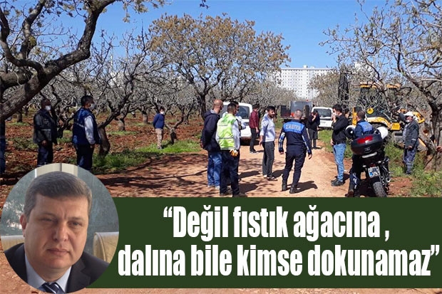 “Değil fıstık ağacına , dalına bile kimse dokunamaz”