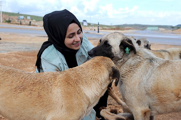 Aç kalan köpekleri elleriyle beslediler