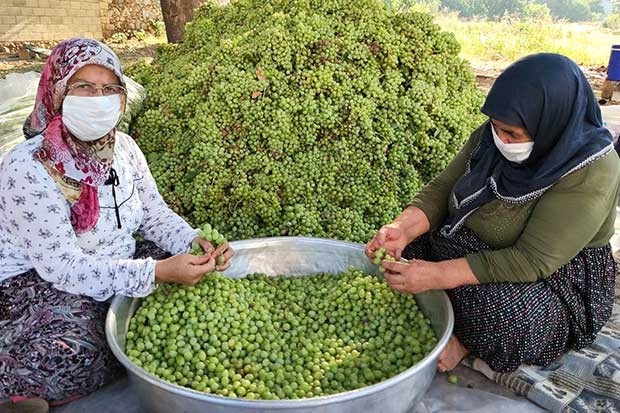 Gaziantep’te bir ilk 'koruk ekşisi'