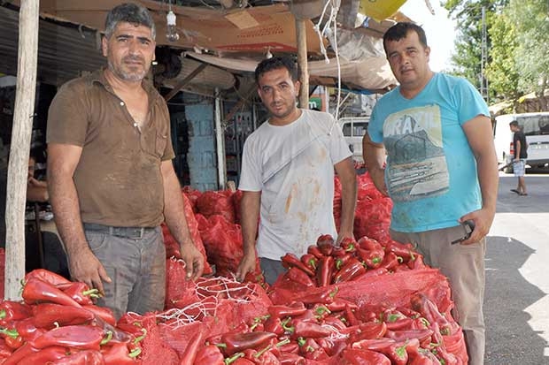 Salçalık biber satışı başladı