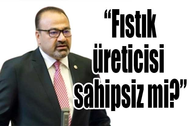 “Fıstık üreticisi sahipsiz mi?”