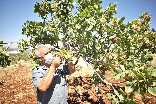 ŞEHİTKAMİL’DE AÇILAN ARAZİ YOLLARI, ÇİFTÇİLERİN YÜZÜNÜ GÜLDÜRDÜ