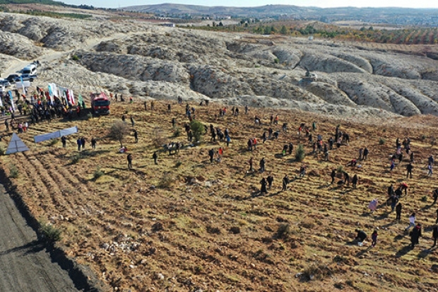 30 bin öğretmen için 30 bin fidanı toprakla buluşturdu