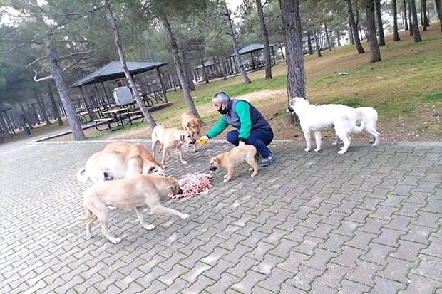 Sokakta ki dostlarımız unutulmadı