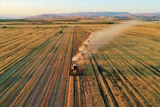 Tarım, bünyesindeki 10 sektörün 8'iyle ihracatta atağa kalktı