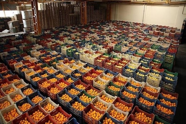 Türkiye, ocak-şubat döneminde 528 milyon dolarlık yaş meyve sebze ihraç etti