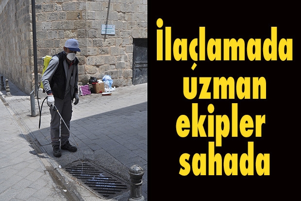 İlaçlamada uzman ekipler sahada