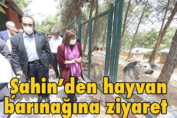 Şahin’den hayvan barınağına ziyaret