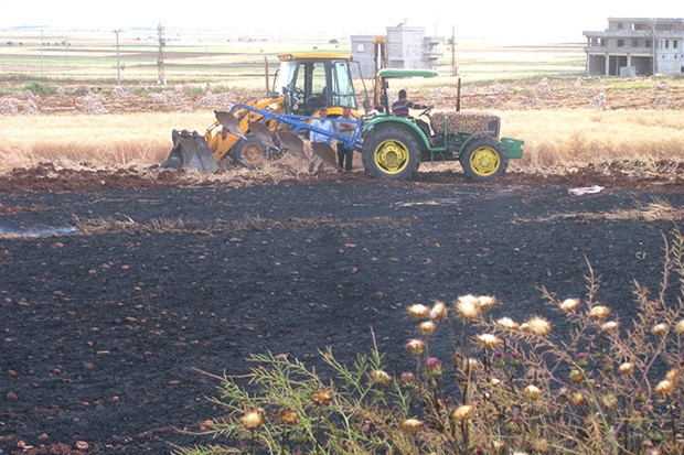 52 dönüm arazide ekili buğday ve arpa kül oldu