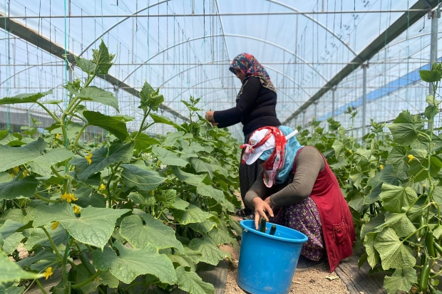 Vatandaşlar meyve ve sebzeleri ucuza satın alıyor