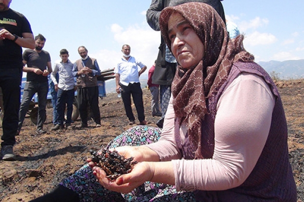 Yangında zarara uğrayan çiftçiler destek istedi