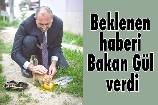 Beklenen haberi Bakan Gül verdi