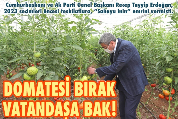 DOMATESİ BIRAK VATANDAŞA BAK!